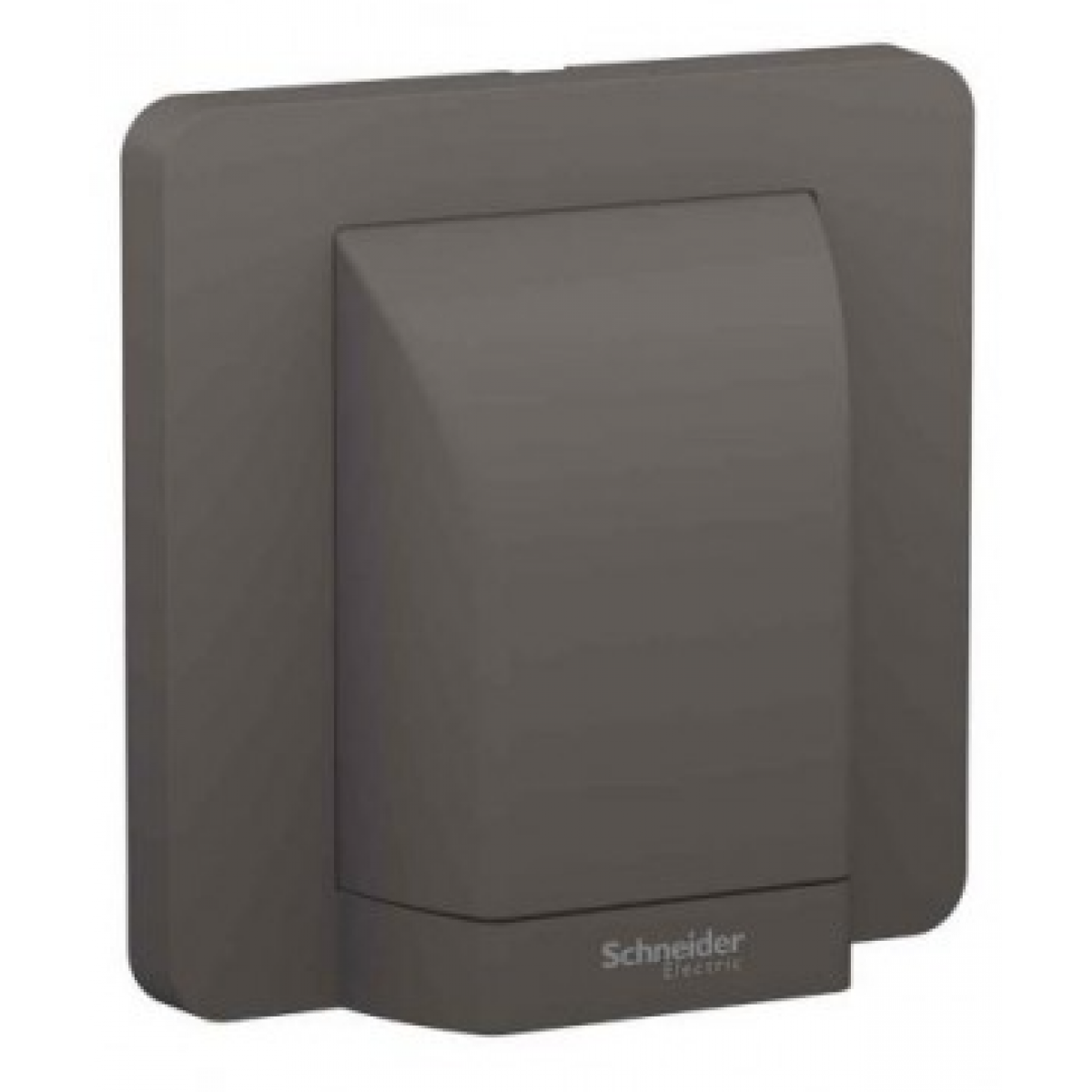 施耐德電氣 AvatarOn 45A 單位接線蘇 (深灰色) - 附LED燈，符合BS 5733標準